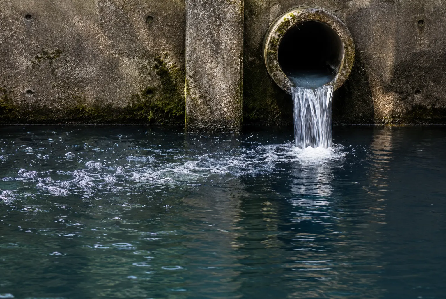 Black Water Treatment